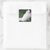 Liefde Amerikaanse Eskimo Puppy Dog Sticker / Labe (Tas)