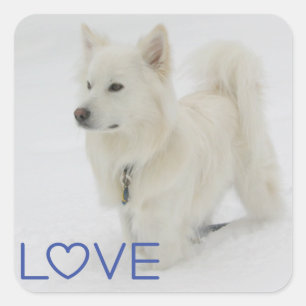 Liefde Amerikaanse Eskimo Puppy Hond Sticker / Lab