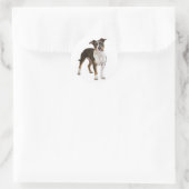 Liefde Amerikaanse Staffordshire Terrier Dog Stick Ronde Sticker (Tas)