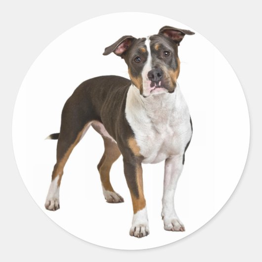 Liefde Amerikaanse Staffordshire Terrier Dog Stick Ronde Sticker (Voorkant)