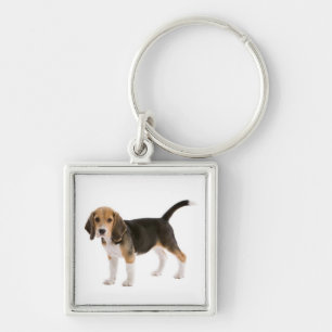 Liefde Beagle Puppie Hond Aangepaste Sleutelhanger