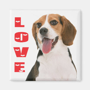 Liefde Beagle Puppy Hond Koelkastmagneet Magneet