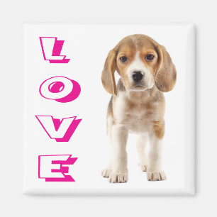 Liefde Beagle Puppy Hond Koelkastmagneet Magneet