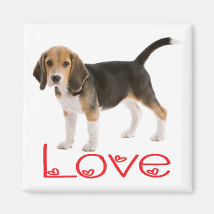 Liefde Beagle Puppy Hond Koelkastmagneet Magneet