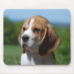 Liefde Beagle Puppy Hond Muismat
