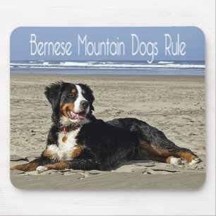 Liefde Berner Sennenhond Puppy Muismatje Muismat