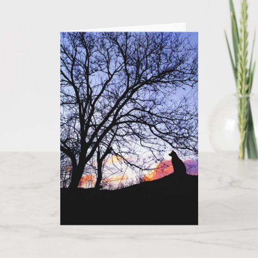 Liefde bij zonsondergang verlies van een hond symp kaart (Voorkant)