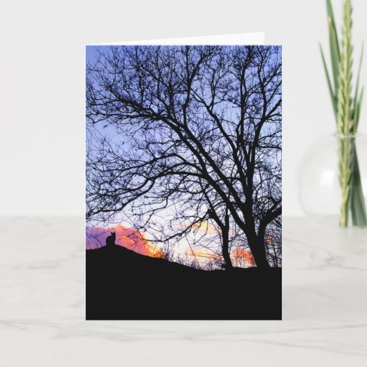 Liefde bij zonsondergang verlies van een kat sympa kaart (Voorkant)