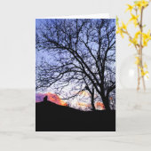 Liefde bij zonsondergang verlies van een kat sympa kaart (Gele Bloem)