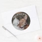 Liefde bijt Kat en puppy Sticker (Envelop)