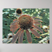 Liefde bloei poster (Voorkant)