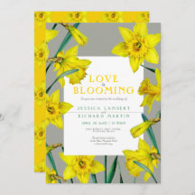 Liefde bloeit de lente gele daffodils bruiloft