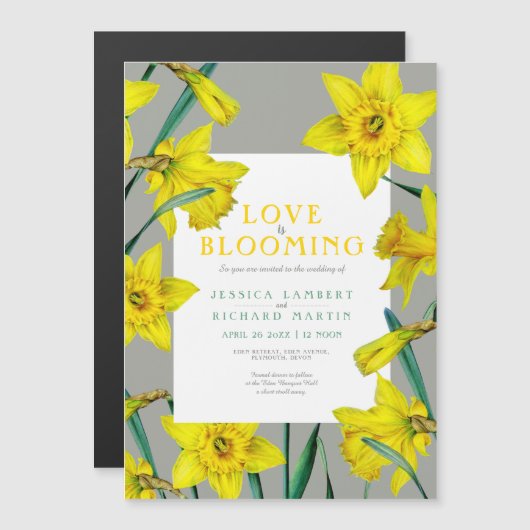 Liefde bloeit de lente gele daffodils bruiloft magnetische uitnodiging (Voorkant / Achterkant)