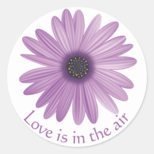 Liefde Bloem Paars Lavendel Madeliefje Bloem Ronde Sticker
