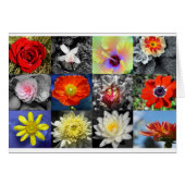 Liefde bloemen Fotografie Collage (Voorkant Horizontaal)