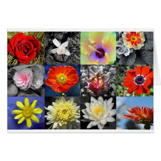 Liefde bloemen Fotografie Collage (Voorkant Horizontaal)