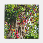 Liefde boom, Zhonghe - Yunnan, China Magneet (Voorkant)