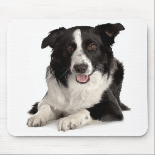 Liefde Border Collie Puppy Hond Muismat