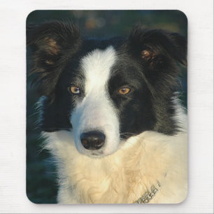 Liefde Border Collie Puppy Hond Muismat