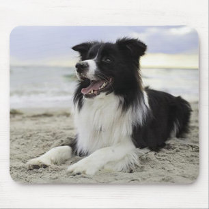 Liefde Border Collie Puppy Hond Muismat