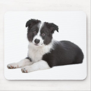 Liefde Border Collie Puppy Hond Muismat