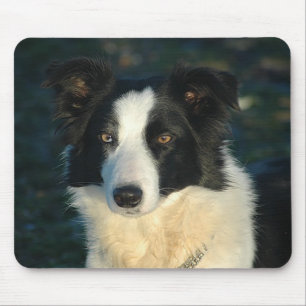 Liefde Border Collie Puppy Hond Muismat