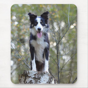 Liefde Border Collie Puppy Hond Muismat