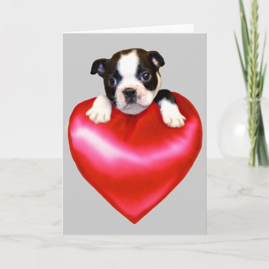 Liefde Boston Terrier wenskaart Kaart (Voorkant)