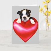 Liefde Boston Terrier wenskaart Kaart (Gele Bloem)