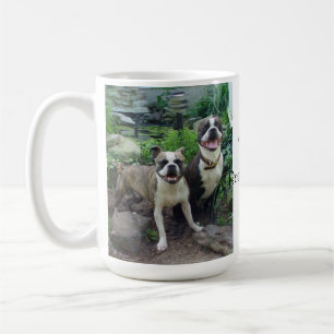 Liefde Boston Terriers, Mok