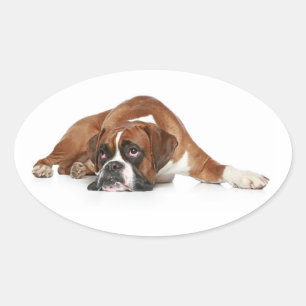 Liefde Boxer Puppy Hond Groet Sticker