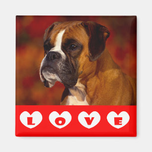 Liefde Boxer Puppy Hond Koelkastmagneet Magneet