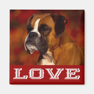 Liefde Boxer Puppy Hond Koelkastmagneet Magneet