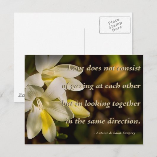 Liefde ... briefkaart (Voorkant / Achterkant)