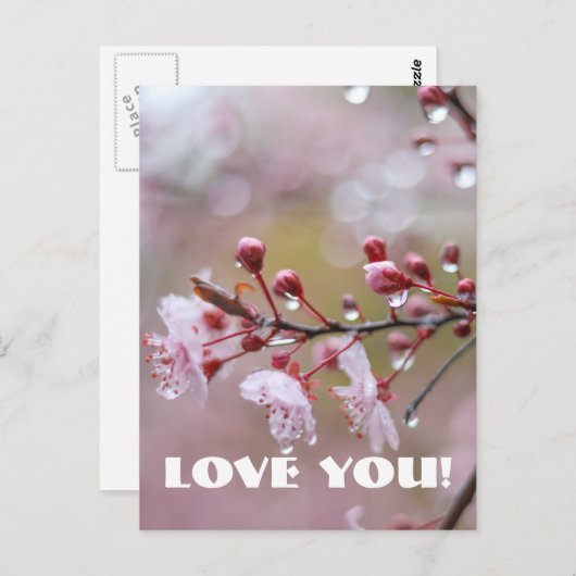 Liefde Briefkaart (Voorkant / Achterkant)