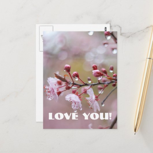 Liefde Briefkaart (Voorkant / Achterkant in situ)