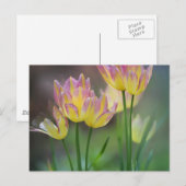 Liefde Briefkaart (Voorkant / Achterkant)