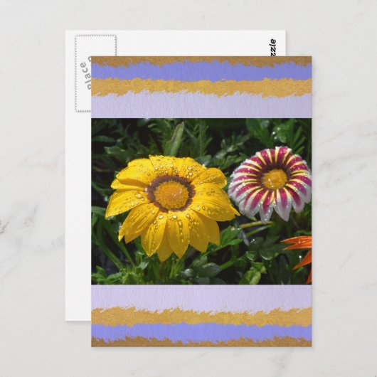 Liefde Briefkaart (Voorkant / Achterkant)