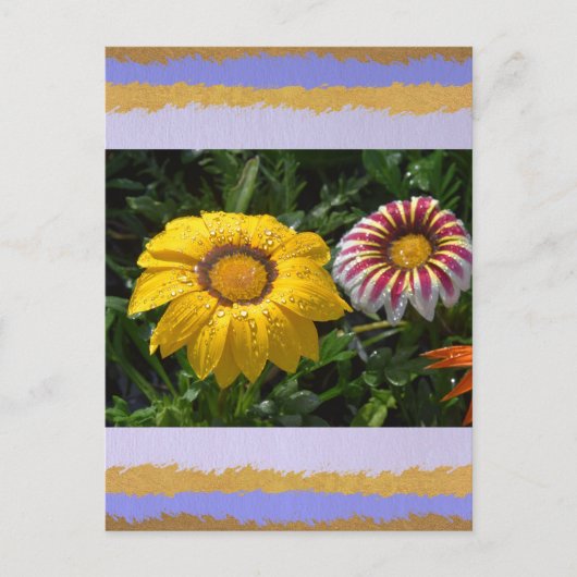 Liefde Briefkaart (Voorkant)