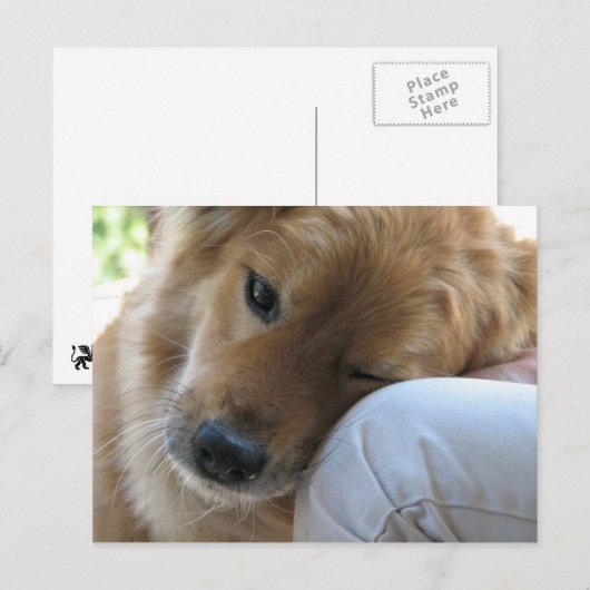 Liefde Briefkaart (Voorkant / Achterkant)