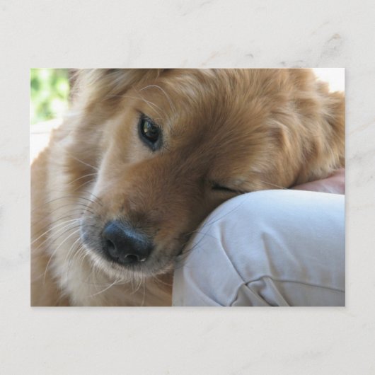 Liefde Briefkaart (Voorkant)