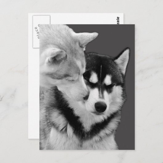 liefde briefkaart (Voorkant / Achterkant)