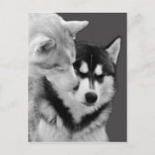 liefde briefkaart (Voorkant)