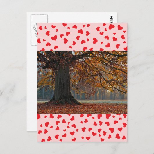 Liefde Briefkaart (Voorkant / Achterkant)