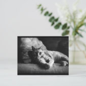 Liefde Briefkaart (Staand voorkant)