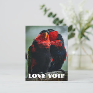 Liefde Briefkaart