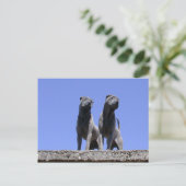 Liefde... Briefkaart (Staand voorkant)