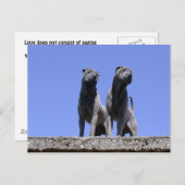 Liefde... Briefkaart (Voorkant / Achterkant)