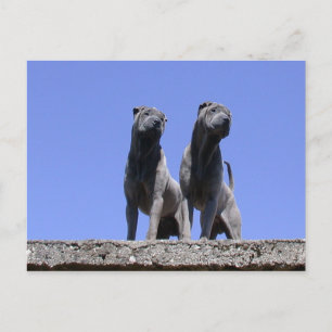 Liefde... Briefkaart