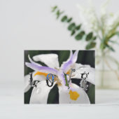Liefde Briefkaart (Staand voorkant)